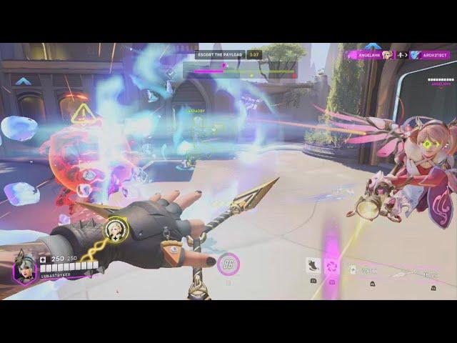 Saving Mercy and Hog