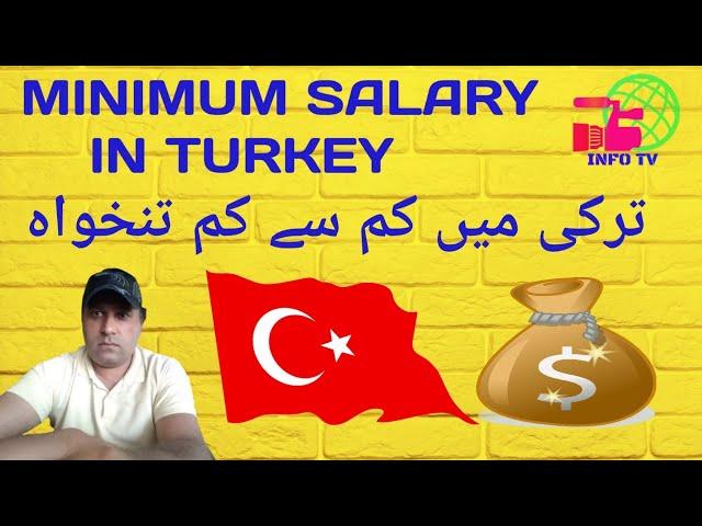What is The Turkey minimum salary Rate|Turkey minimum wages|Earning in Turkey|info Tv