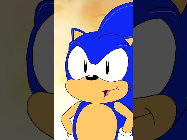 Sonic Says - Nintendo and Fan Projects (Sonic the hedgehog cartoon) #sonicmemes  #memes #sonicsays