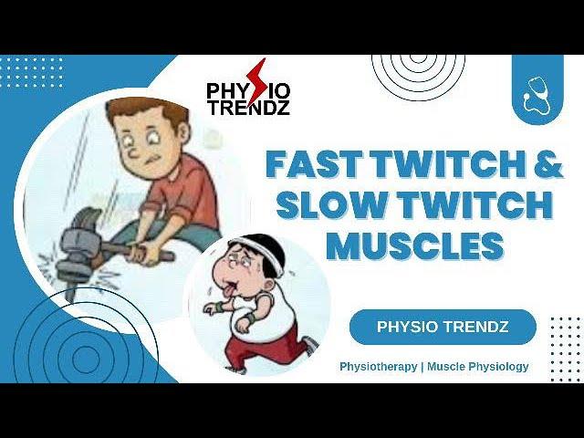 Fast Twitch VS Slow Twitch Muscle Fiber Types |physiotherapy |muscle physiology |physiotrendz