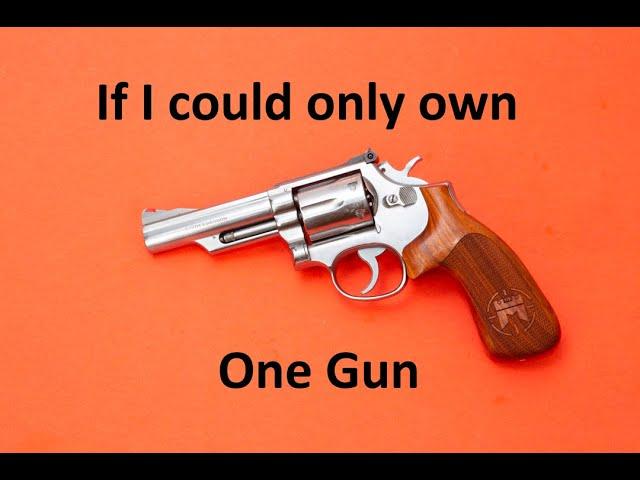 If I could only own one gun