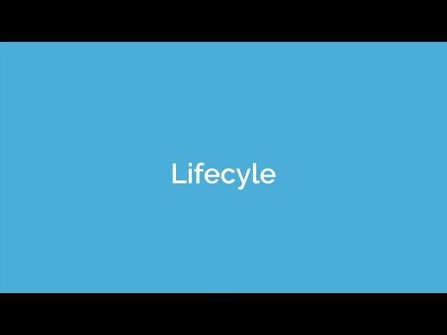 Pimberly Platform Tour Part 9 - Lifecycles