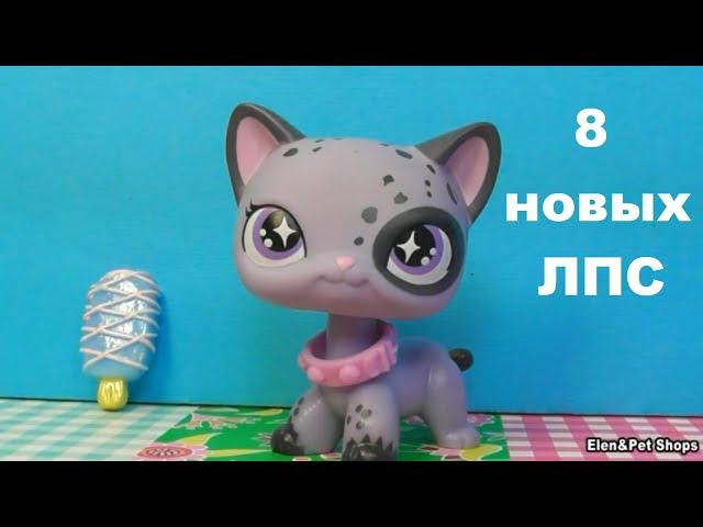 LPS: Посылки с новыми петами.