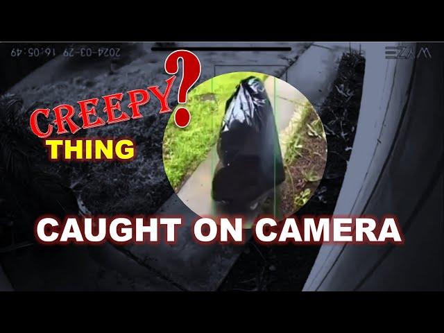 Creepy Things Caught On Camera : thief was caught on camera : Porch pirate #viral #viralvideo