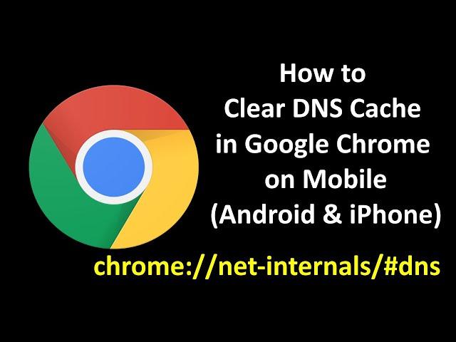 How to Clear DNS Cache in Google Chrome on Mobile [ chrome //net-internals/#dns ]