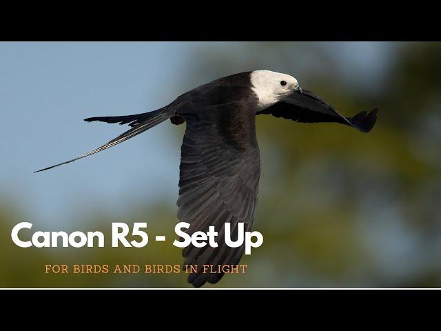 Canon R5 Set Up - Birds and Birds in Flight