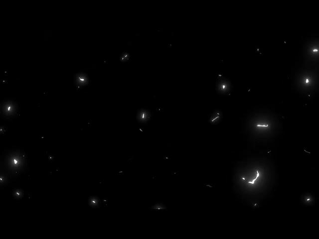 Moving White Particles Overlay For Edit [4K]