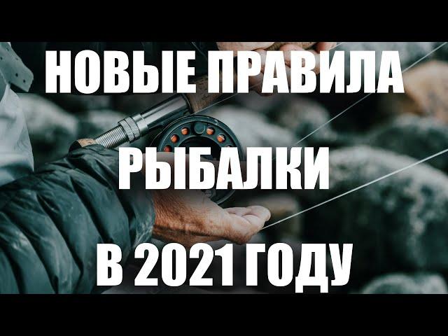 Новый Закон о рыбалке 2021. Какие будут штрафы за рыбалку и нормы вылова. Закон 475-ФЗ