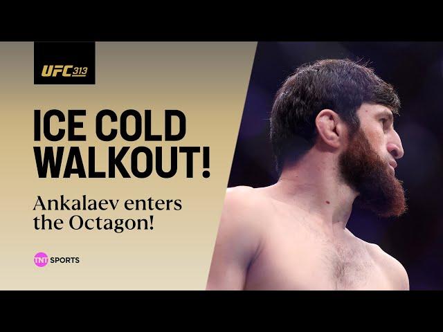 ICE COLD! Magomed Ankalaev walkout at #UFC313  | Alex Pereira vs. Magomed Ankalaev