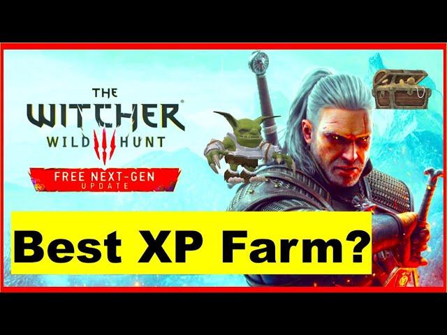 BEST NEW XP glitch in the Witcher 3 Next-Gen Update 4.00? Infinite $ too #witcher3