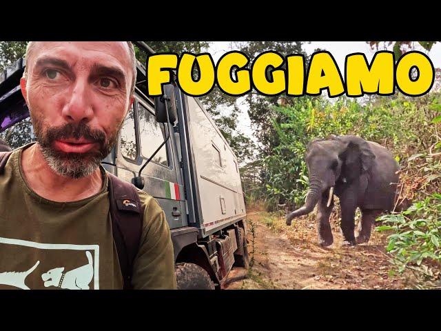 Inseguiti da un ELEFANTE in Guinea  Giro del MONDO in CAMPER 4x4