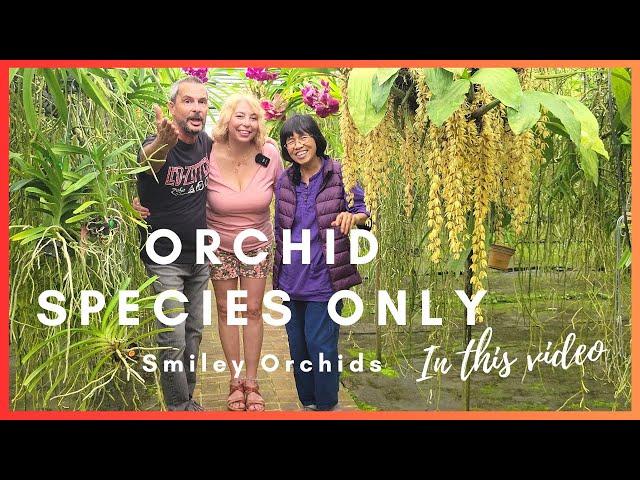 ORCHID SPECIES ONLY. Smiley Orchids nursery tour.