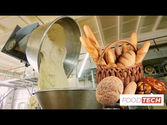 INDUSTRIAL BREAD MANUFACTURE, SHAPE BREAD, HAMBURGER BREAD - FOOD INDUSTRY