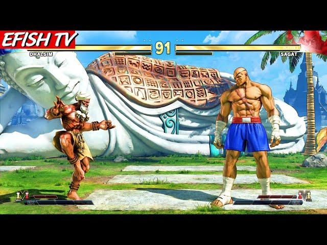 LEVEL 8 Dhalsim VS Sagat STREET FIGHTER V Hardest Battle Match