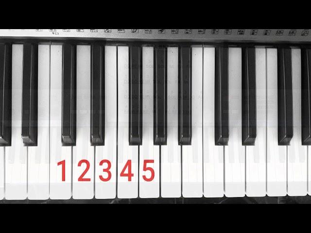 PRIMEIRA AULA TECLADO - Asa Branca e Bethoven em menos de 10 minutos.