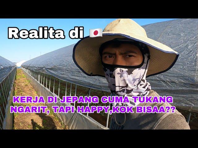 ALASAN YANG BIKIN AKU HAPPY KERJA JADI PETANI DI JEPANG