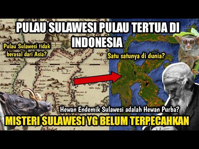 PULAU SULAWESI : Pulau Tertua di Indonesia!