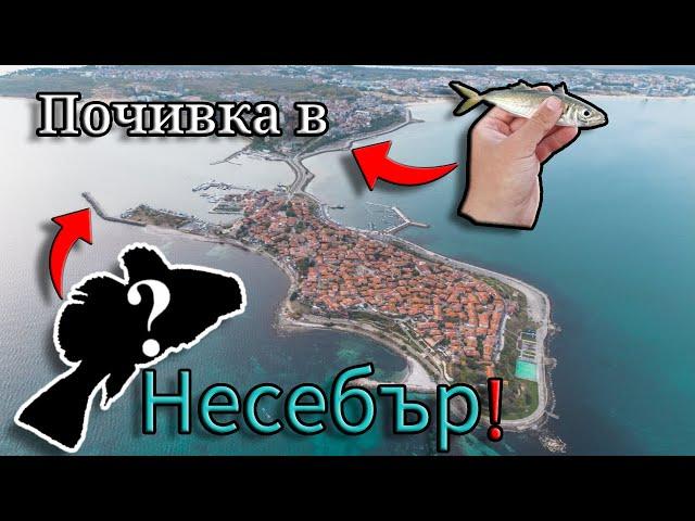 На ПОЧИВКА и МОРСКИ риболов в Несебър! Хванах 10 ВИДА РИБИ! САФРИД и ПОПЧЕТА на ПЛУВКА и ДЪНО!