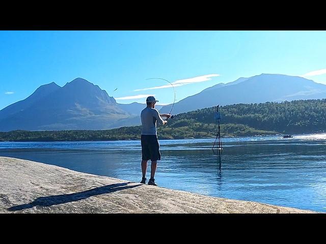 This is not fishing, its CATCHING. Lure Fishing for Arctic cod