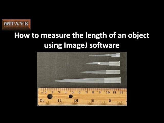 How to measure the length of an object using ImageJ Software