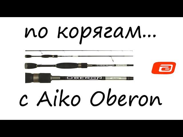 По корягам с Aiko Oberon в компании Бати...