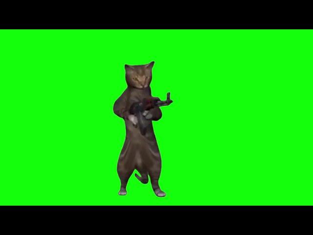 Green Screen Cat Shoots from AK-47 Meme