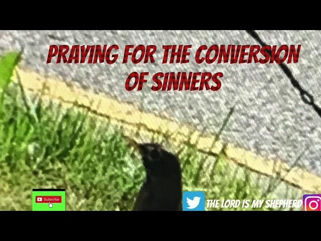 🟣PRAYING FOR THE CONVERSION OF SINNERS🟣