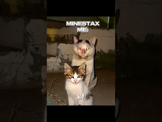 MINESTAX NEW PLAYER and ME:  #minestax #kif #newplayer #me