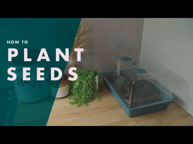 How To Plant Seeds | Bunnings Warehouse