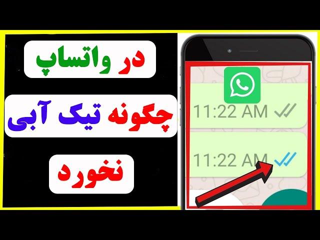 چگونه بدون خوردن تیک آبی پیام های واتساپ را بخوانیم