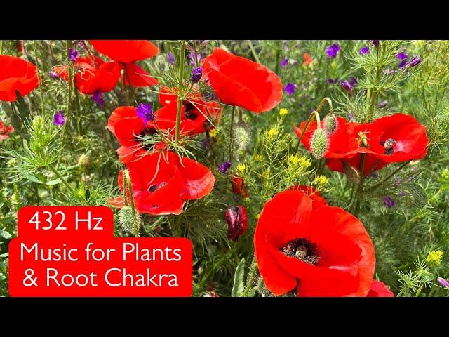 Music for Plants 432 Hz Music To Stimulate Plants Growth and Root Chakra Healing