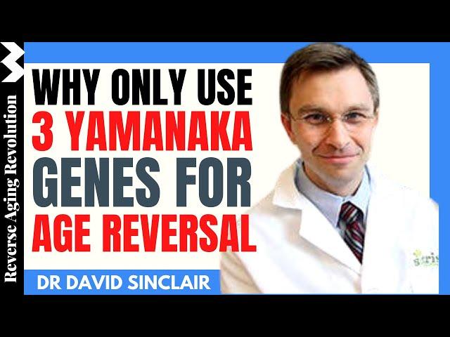 DAVID SINCLAIR "Why Use Only 3 Yamanaka Genes For Age Reversal" | Dr David Sinclair Interview Clips