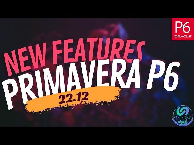 What's New in Primavera P6 2023? Learn the Latest Features in Version 22.12