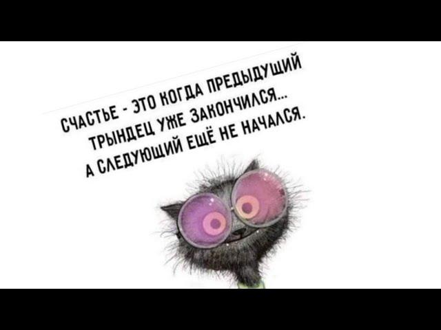 Счастье - это когда предыдущий трындец уже закончился... А следующий ещё не начался.  #анекдоты