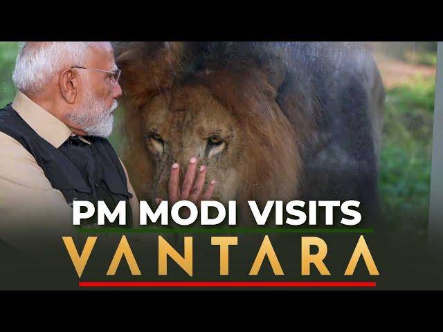 PM Modi inaugurates wildlife rescue, rehabilitation, and conservation centre, Vantara | Ambani