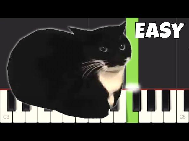 Maxwell The Cat Theme Song - EASY Piano Tutorial