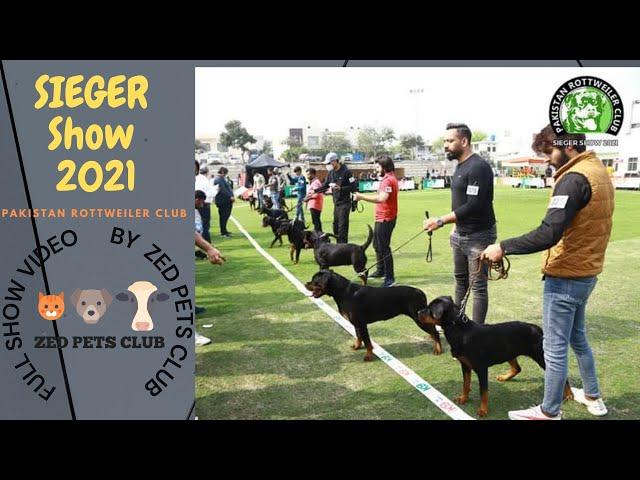 Rottweiler sieger show 2021 Pakistan (PRC) | full detail video