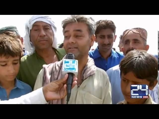 24 Report : KandhKot cattle market people worried about high rates of animals