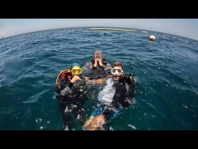 Amazing Barracuda & Turtle Encounter in Jeddah / Red Sea / KSA on 5 July 2024