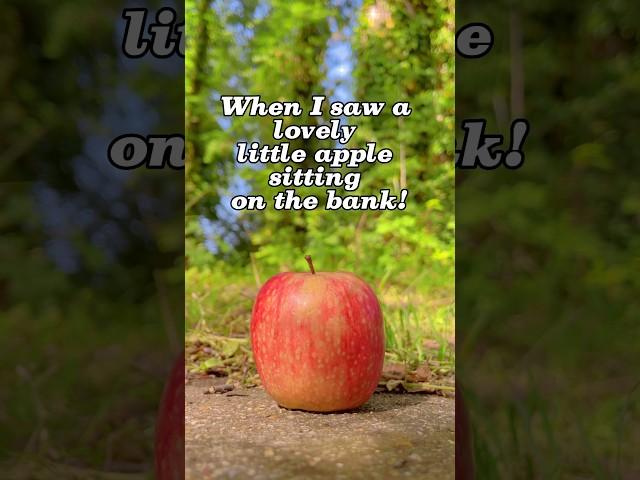 Don’t fall for the apple trick fairies!! #fairytok #nature #flying #roleplay #fairies #fairyhunter