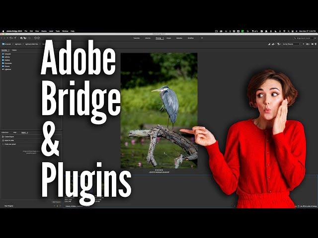 Using Adobe Bridge With PLUGINS