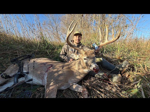 INSANE  Public Land Bowhunting! (MONSTER BUCK)