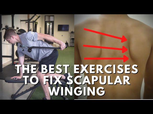 Effective Exercises To Fix Scapular Winging - Targeting The Weak Muscles