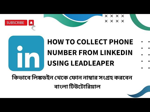 How to Collect Phone Number from Linkedin Using Leadleaper | Bangla Tutorial