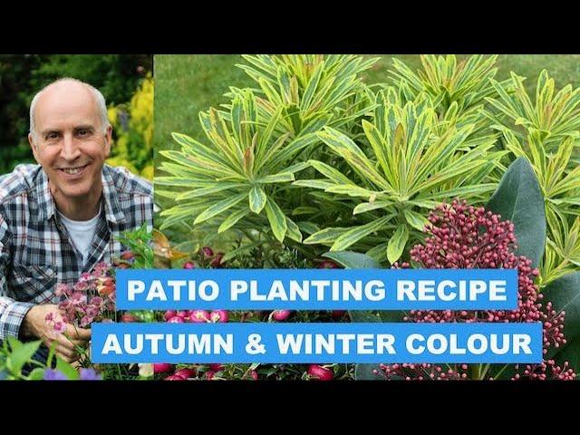 PATIO POT RECIPE FOR AUTUMN & WINTER COLOUR - STEP-BY-STEP PLANTING GUIDE