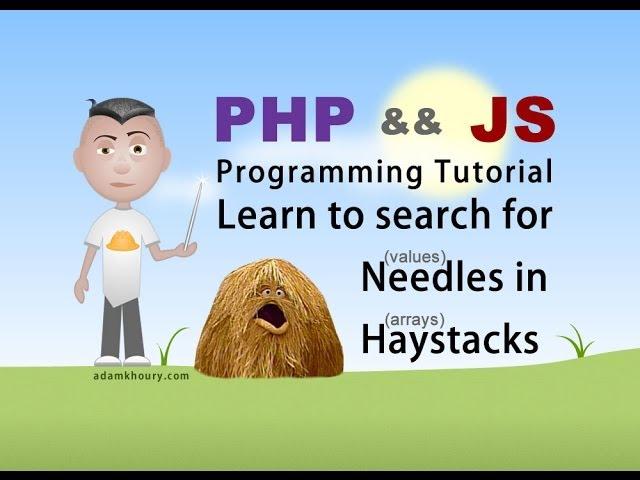 Check if Value Exists in Array PHP JavaScript Array Programming