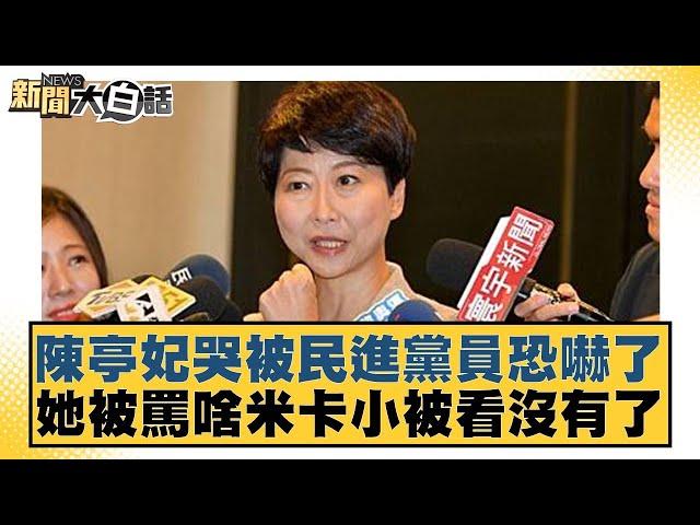 陳亭妃哭被民進黨員恐嚇了 她被罵啥米卡小被看沒有了【#新聞大白話】20250304-9｜#羅智強#謝寒冰#何景榮