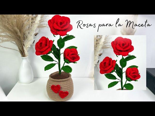 Tutorial Rosas para MacetaMayelin Ros