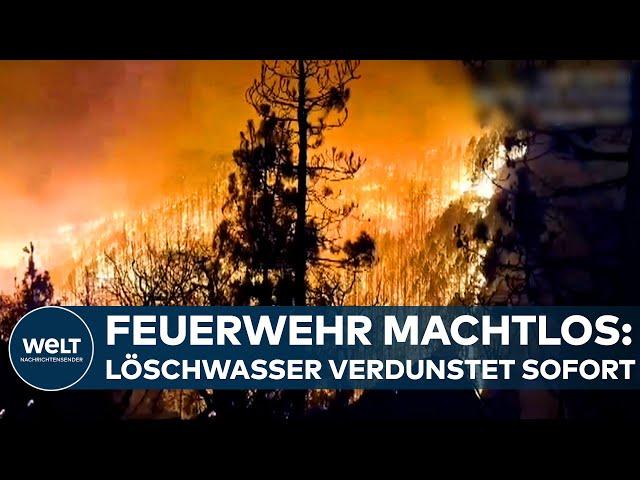 VERHEERENDER WALDBRAND AUF TENERIFFA - Mehrere Dörfer auf Kanareninsel evakuiert