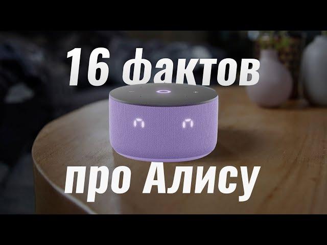 16 ИНТЕРЕСНЫХ ФАКТОВ и ПОЛЕЗНЫХ НАВЫКОВ Яндекс Станции с Алисой